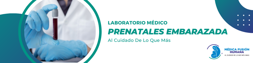 ESTUDIOS PRENATALES