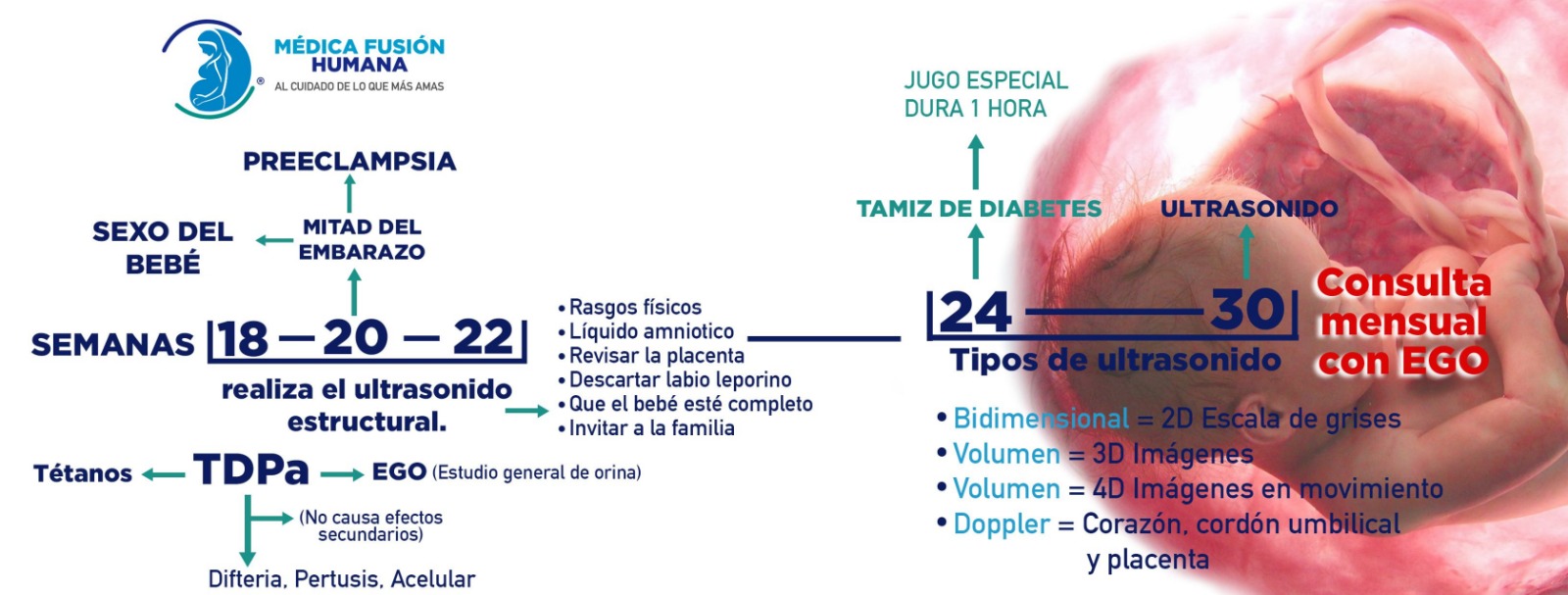 Consulta de control de embarazo en Médica Fusión Humana, Cuautitlán